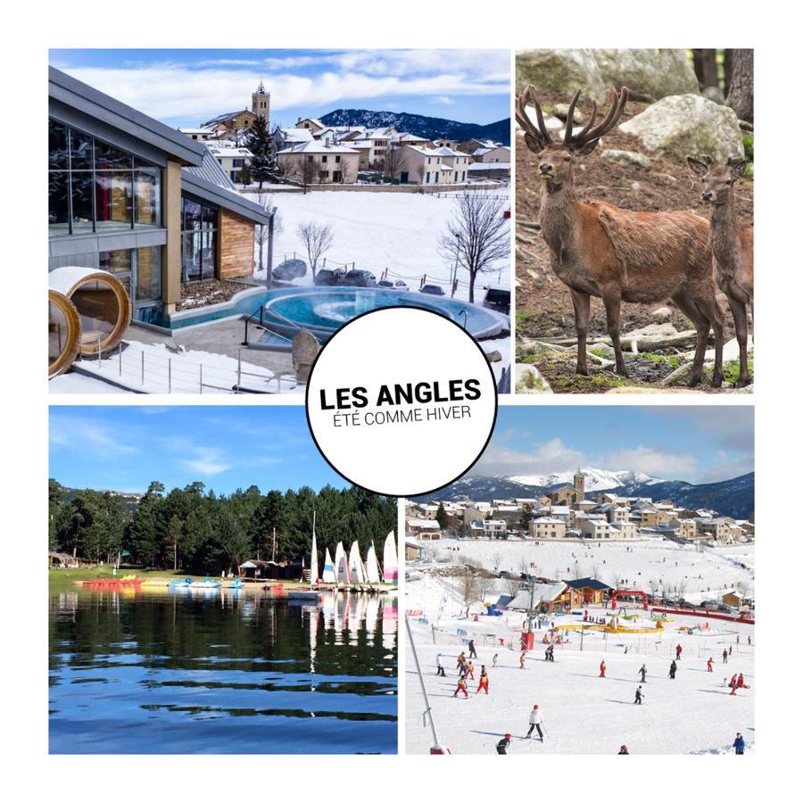 Le Petit Ours & Le Petit Cerf - Studios Vue Lac & Montagnes Les Angles  Dış mekan fotoğraf